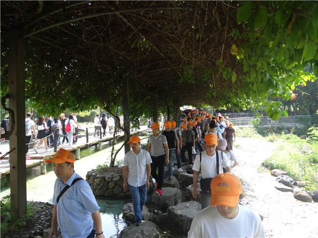 腾博会官网 - 诚信为本,专业服务!