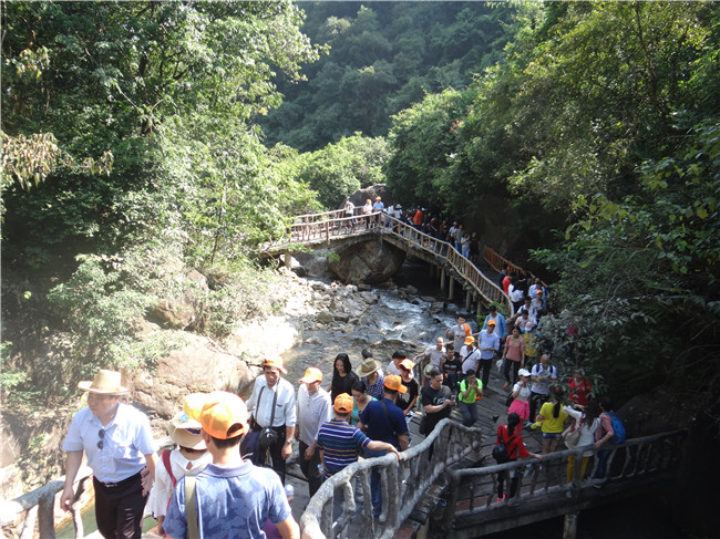 腾博会官网 - 诚信为本,专业服务!