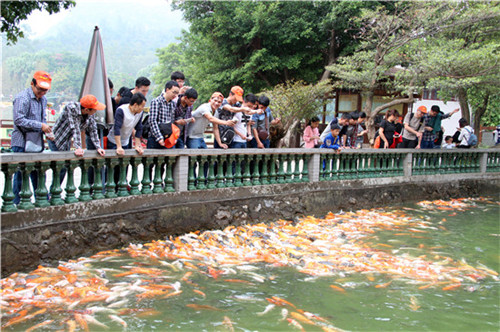 腾博会官网 - 诚信为本,专业服务!